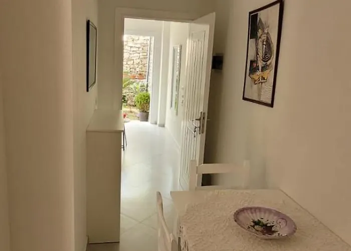 - Jasmine Apartament